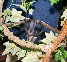 Load image into Gallery viewer, Chameleon Feeder- For Worms and Small Crickets