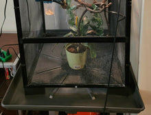 Load image into Gallery viewer, Zoo Med ReptiBreeze Cage Stand- Perfect for Drip Pans
